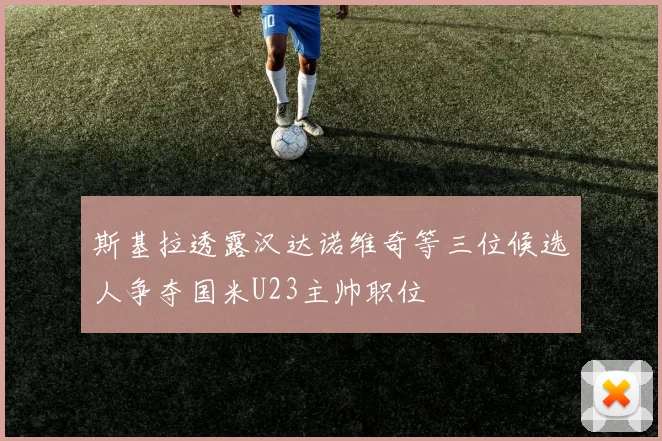 斯基拉透露汉达诺维奇等三位候选人争夺国米U23主帅职位