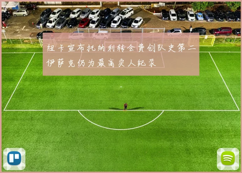 纽卡宣布托纳利转会费创队史第二伊萨克仍为最高卖人纪录