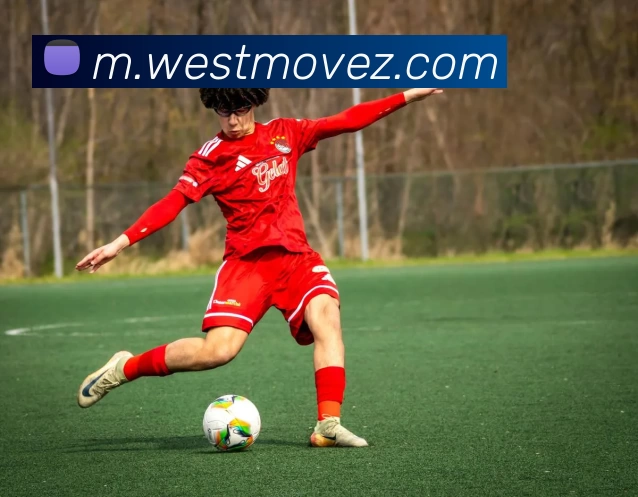 hth网页版登录品牌故事